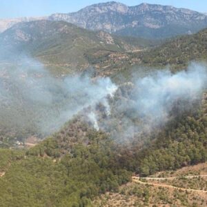 mersinde yangin cikti havadan ve karadan mudahale ediliyor fAxt9UBM