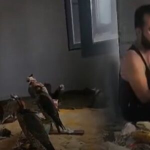 suriyeli kus cetesine gozalti turkiyede avladiklari kuslari araplara sattiklari ortaya cikti PiQyTXQj