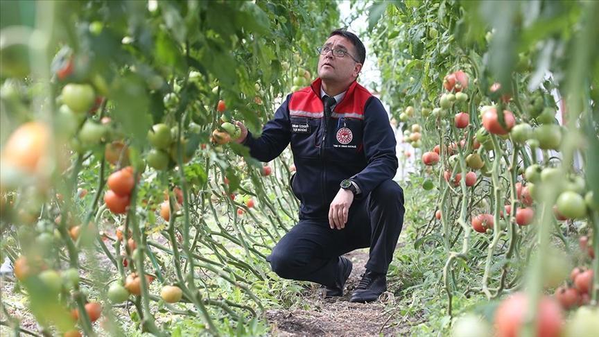 ziraat muhendislerinin olusturdugu sera vatandaslara ilham oldu hJirJtCQ