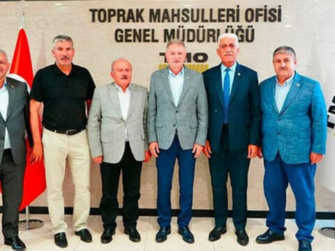 Haber gorseli
